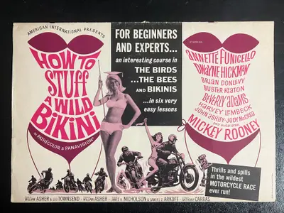 How to Stuff a Wild Bikini image 1