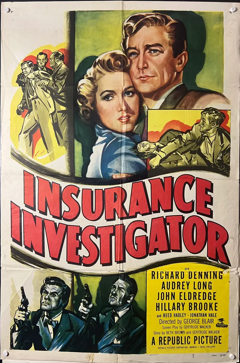 Insurance Investigator