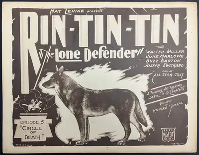 Rin-Tin-Tin The Lone Defender image 1