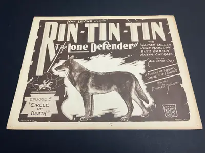 Rin-Tin-Tin The Lone Defender image 2