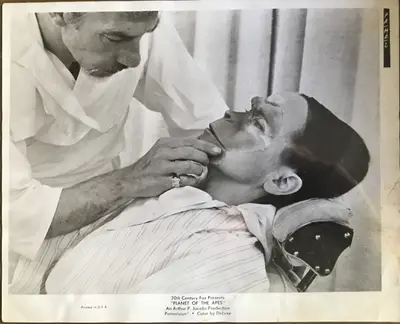 Planet of the Apes image 2