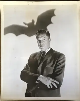 The Bat Still image 1