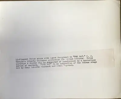 The Bat Still image 2