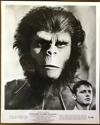 Escape from the Planet of the Apes Roddy McDowell and Kim Hunter Portrait Stills (2) image 2