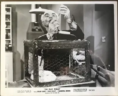 The Wasp Woman Still Lot of 5 image 3