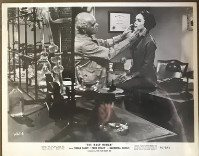 The Wasp Woman Still Lot of 5 image 4