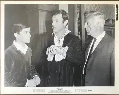 Batman Branch Still Set Of 34 image 5