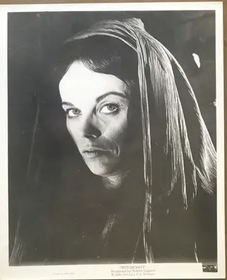 Witchcraft Scenes (2) image 1