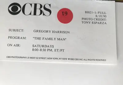 Family Man Gregory Harrison Portrait Still image 2