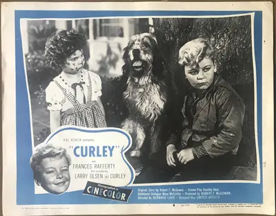 Curley Lobby Cards (7) image 7