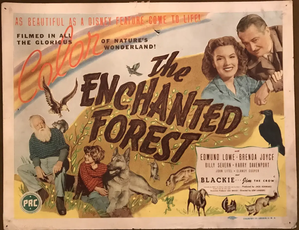 The Enchanted Forest Lobby Card Set Of 8