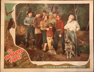 The Enchanted Forest Lobby Card Set Of 8 image 2