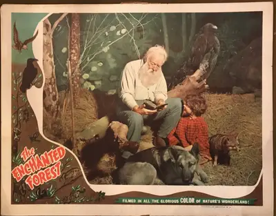 The Enchanted Forest Lobby Card Set Of 8 image 3