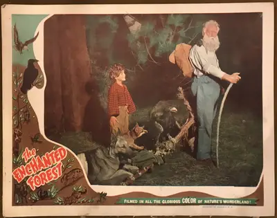 The Enchanted Forest Lobby Card Set Of 8 image 4