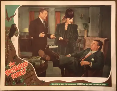 The Enchanted Forest Lobby Card Set Of 8 image 5