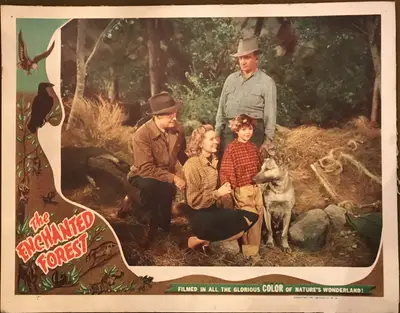The Enchanted Forest Lobby Card Set Of 8 image 6
