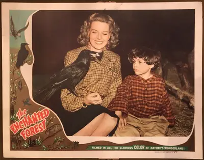 The Enchanted Forest Lobby Card Set Of 8 image 7