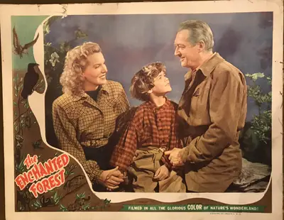 The Enchanted Forest Lobby Card Set Of 8 image 8