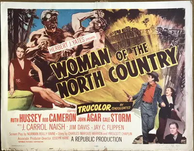 Woman of the North Country Lobby Card Set Of 8 image 1