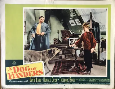 A Dog of Flanders Lobby Card Set Of 8 image 3