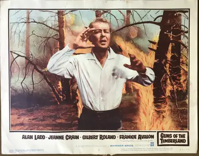 Guns of the Timberland Lobby Card Set Of 8 image 1