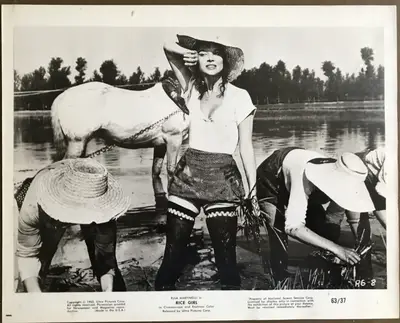 Rice Girl Still Lot Of 19 image 15