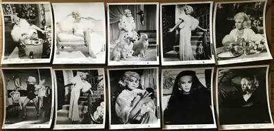 Harlow image 8