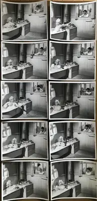 Harlow image 16
