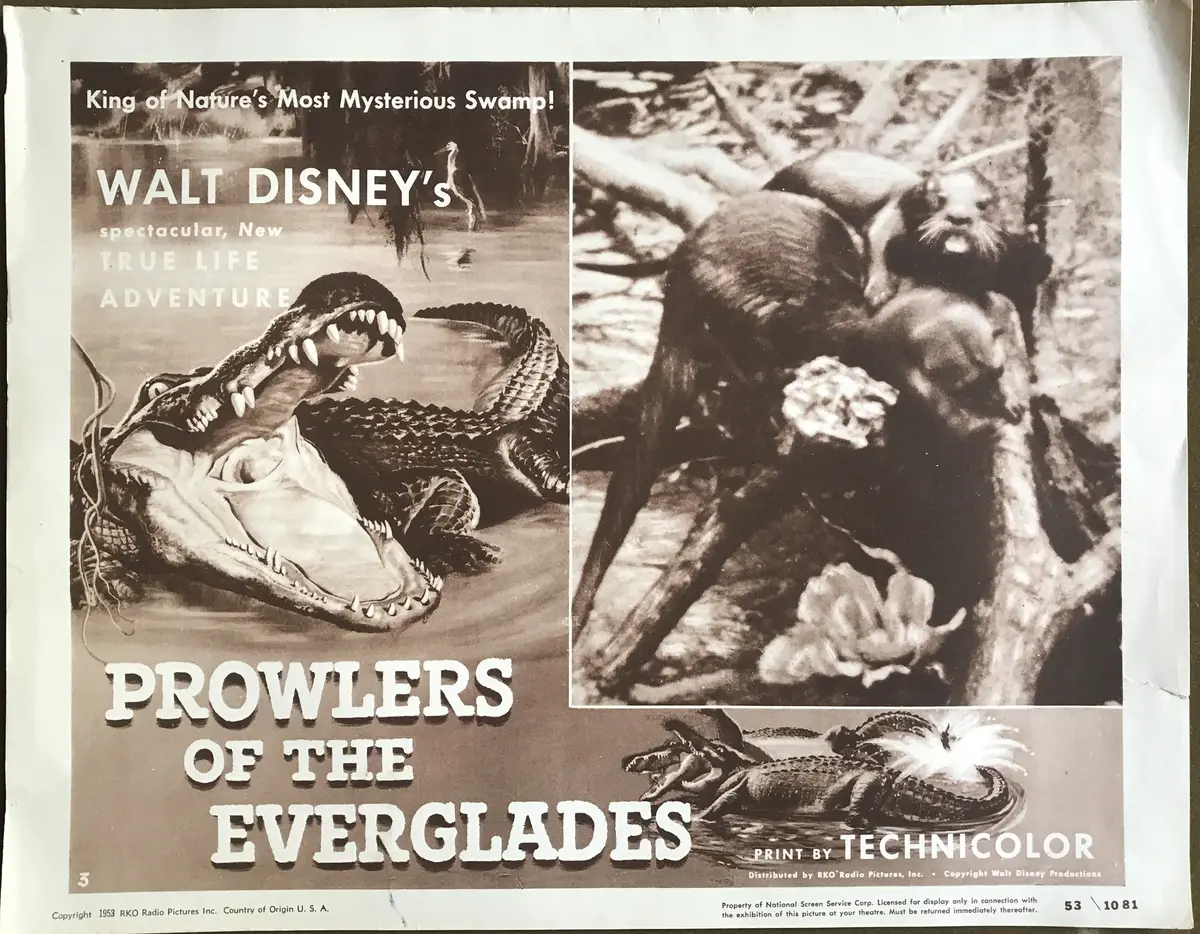 Prowlers of the Everglades Lobby Card Set Of 4
