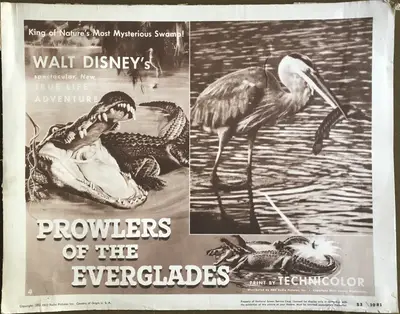 Prowlers of the Everglades Lobby Card Set Of 4 image 2