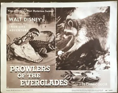 Prowlers of the Everglades Lobby Card Set Of 4 image 3