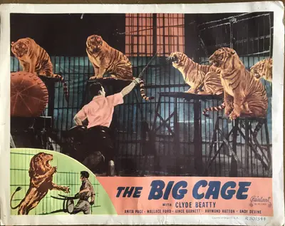 The Big Cage 1950 Real-Art Re-Release Lobby Card Set Of 8 image 8