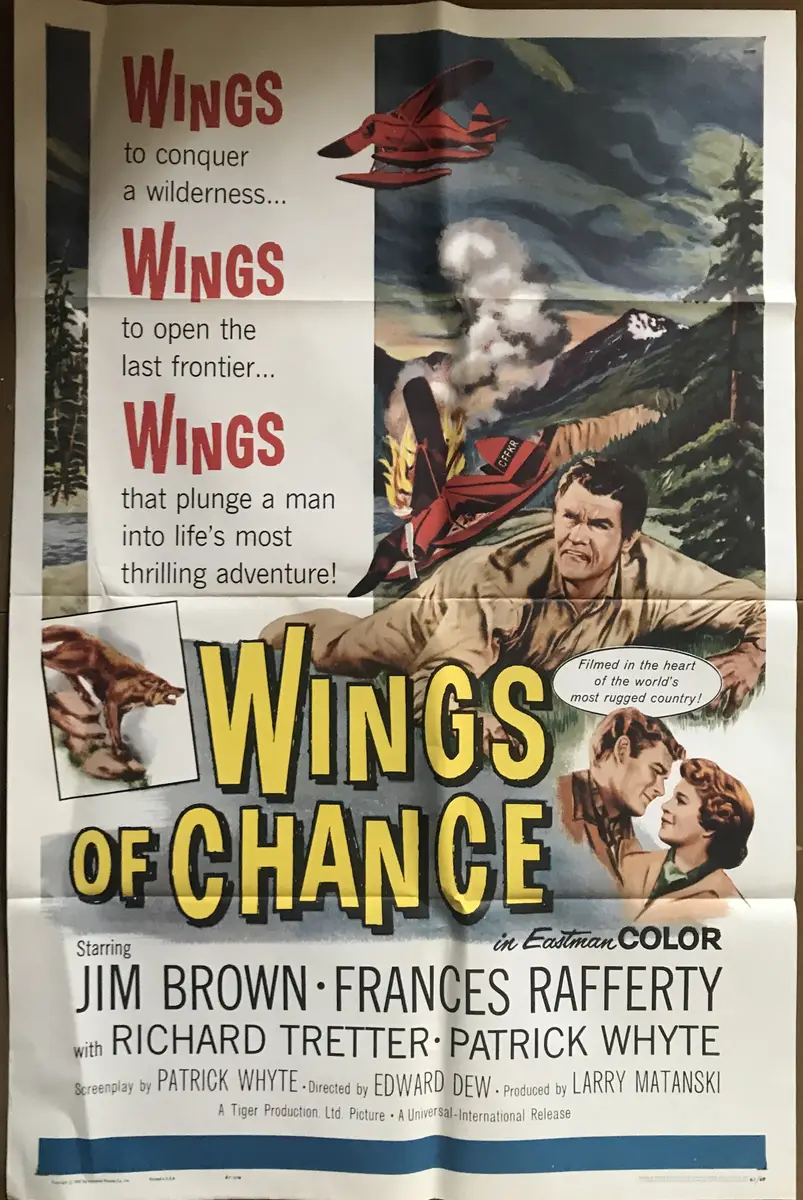 Wings of Chance One Sheet