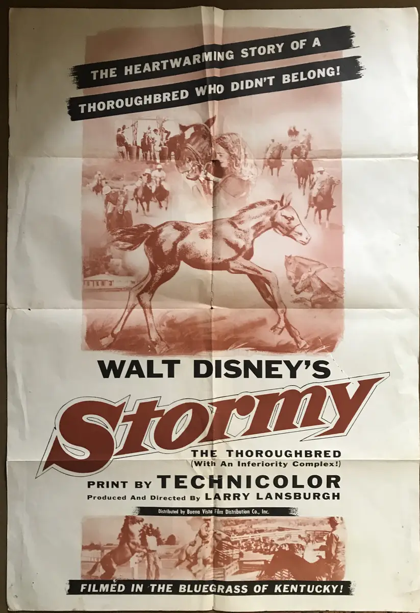 Stormy, the Thoroughbred One Sheet