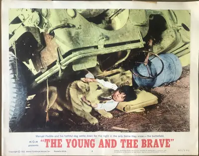 Young and the Brave Lobby Card Set Of 8 image 1
