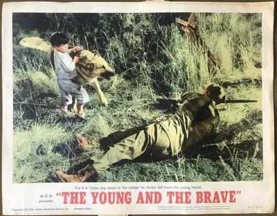 Young and the Brave Lobby Card Set Of 8 image 2