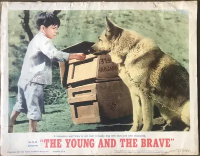 Young and the Brave Lobby Card Set Of 8 image 4