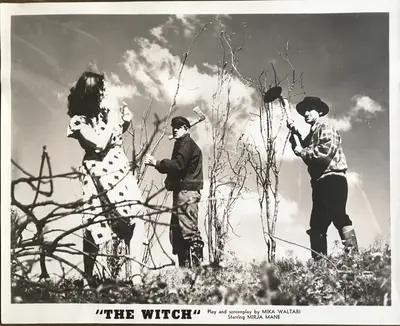 The Witch Still Lot Of 21 image 4