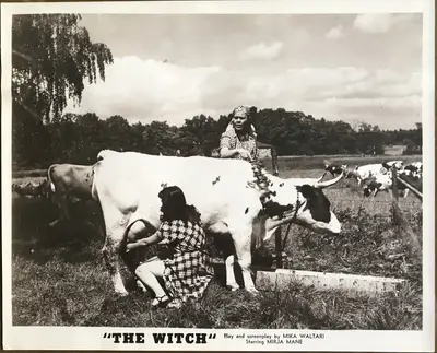 The Witch Still Lot Of 21 image 7