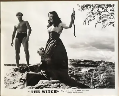 The Witch Still Lot Of 21 image 9