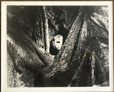 Caltiki, the Immortal Monster Still Lot Of 27 image 20
