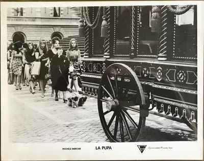 La Pupa Branch Still Set Of 25 image 8