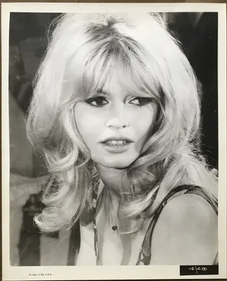 Dear Brigitte Still Set Of 34 image 1
