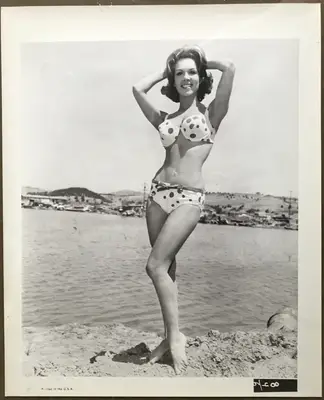 Dear Brigitte Still Set Of 34 image 16