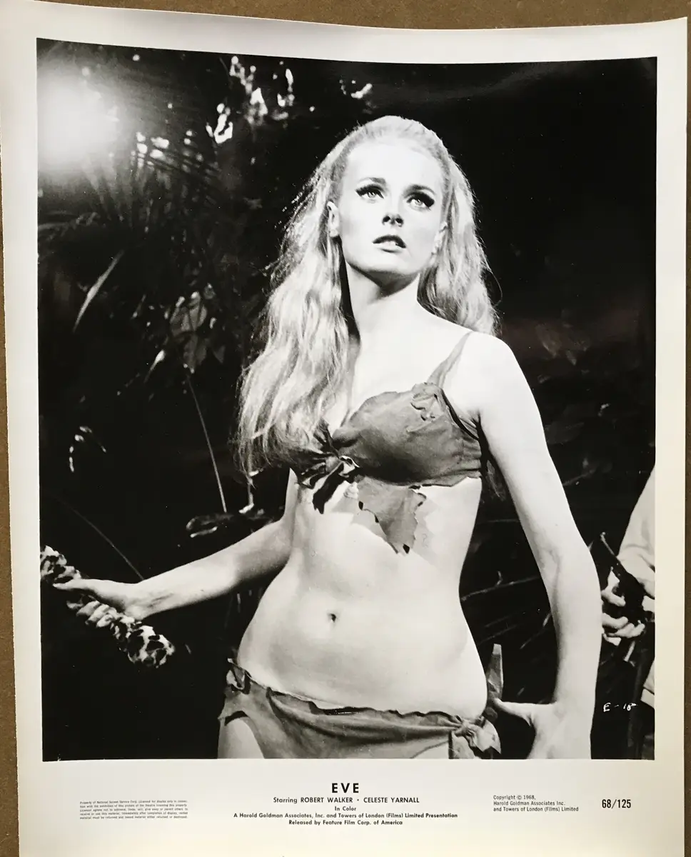 The Face of Eve AKA Eve Branch Still Set Of 14 (flats) and Branch Set Of 10 (uprights) 24 Total Stills
