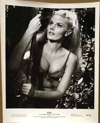 The Face of Eve AKA Eve Branch Still Set Of 14 (flats) and Branch Set Of 10 (uprights) 24 Total Stills image 2