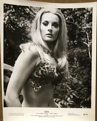The Face of Eve AKA Eve Branch Still Set Of 14 (flats) and Branch Set Of 10 (uprights) 24 Total Stills image 5