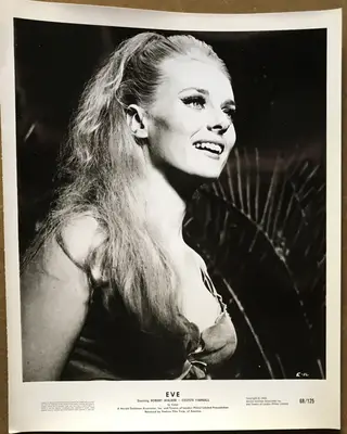 The Face of Eve AKA Eve Branch Still Set Of 14 (flats) and Branch Set Of 10 (uprights) 24 Total Stills image 6