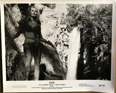 The Face of Eve AKA Eve Branch Still Set Of 14 (flats) and Branch Set Of 10 (uprights) 24 Total Stills image 13