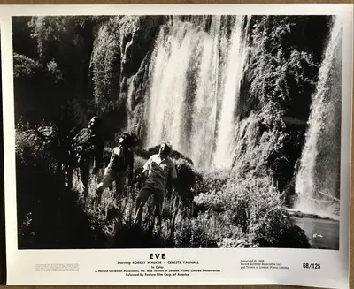 The Face of Eve AKA Eve Branch Still Set Of 14 (flats) and Branch Set Of 10 (uprights) 24 Total Stills image 19